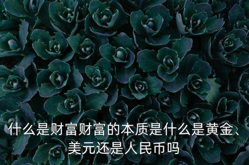 什么是財(cái)富財(cái)富的本質(zhì)是什么是黃金、美元還是人民幣嗎