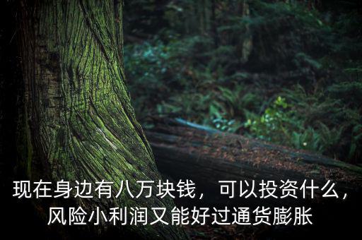 現(xiàn)在身邊有八萬塊錢，可以投資什么，風(fēng)險小利潤又能好過通貨膨脹
