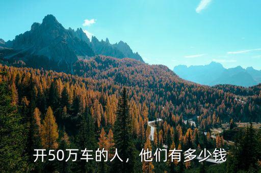 開50萬(wàn)車的人，他們有多少錢