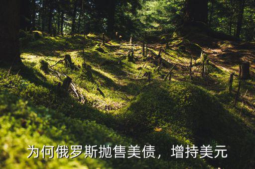 為何俄羅斯拋售美債，增持美元