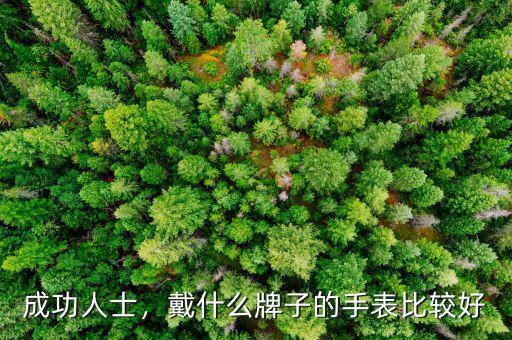 成功人士，戴什么牌子的手表比較好
