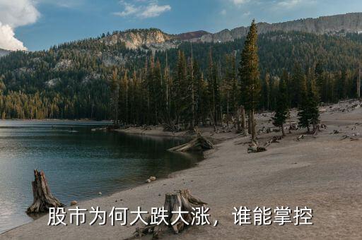 股市為何大跌大漲，誰能掌控