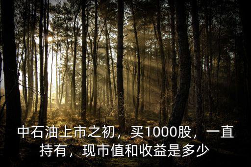 中石油上市之初，買1000股，一直持有，現(xiàn)市值和收益是多少