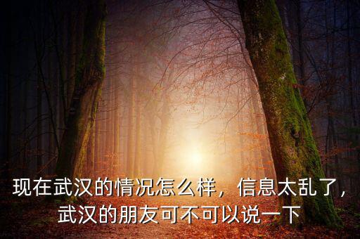 現(xiàn)在武漢的情況怎么樣，信息太亂了，武漢的朋友可不可以說一下