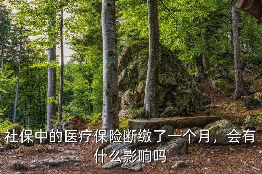 社保中的醫(yī)療保險斷繳了一個月，會有什么影響嗎