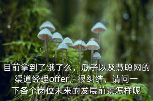 目前拿到了餓了么，瓜子以及慧聰網(wǎng)的渠道經(jīng)理offer，很糾結(jié)，請問一下各個崗位未來的發(fā)展前景怎樣呢