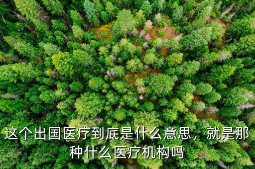 這個(gè)出國(guó)醫(yī)療到底是什么意思，就是那種什么醫(yī)療機(jī)構(gòu)嗎