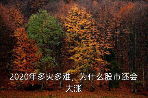2020年多災多難，為什么股市還會大漲