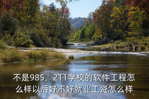 不是985，211學(xué)校的軟件工程怎么樣以后好不好就業(yè)工資怎么樣