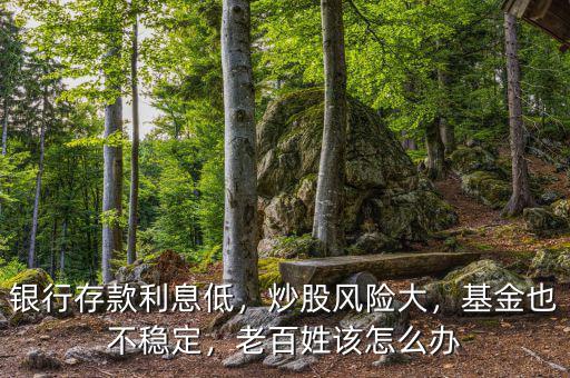銀行存款利息低，炒股風(fēng)險(xiǎn)大，基金也不穩(wěn)定，老百姓該怎么辦