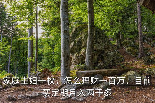 家庭主婦一枚，怎么理財(cái)一百萬，目前買定期月入兩千多