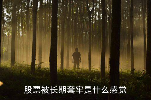 什么叫套牢,股票被長(zhǎng)期套牢是什么感覺