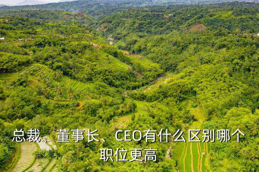總裁、董事長、CEO有什么區(qū)別哪個(gè)職位更高