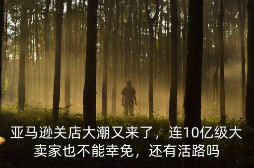 亞馬遜關(guān)店大潮又來了，連10億級(jí)大賣家也不能幸免，還有活路嗎
