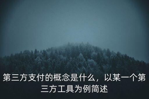 第三方支付的概念是什么，以某一個第三方工具為例簡述