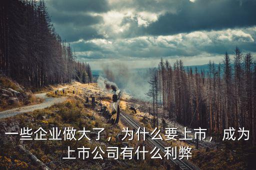 一些企業(yè)做大了，為什么要上市，成為上市公司有什么利弊