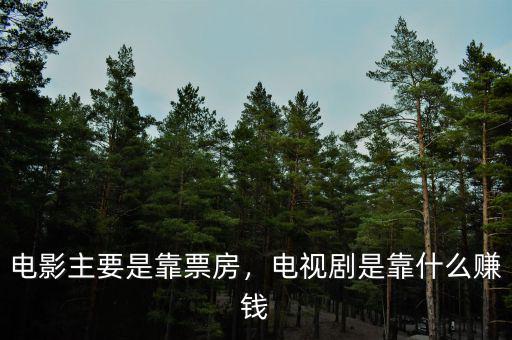 電影主要是靠票房，電視劇是靠什么賺錢
