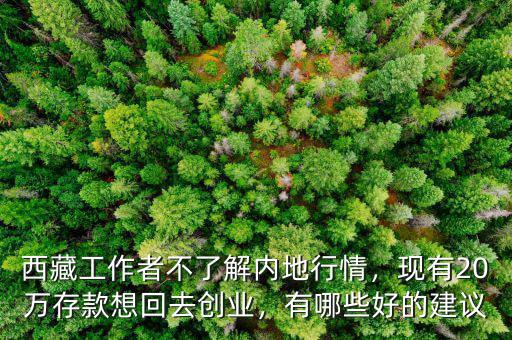 西藏工作者不了解內(nèi)地行情，現(xiàn)有20萬存款想回去創(chuàng)業(yè)，有哪些好的建議