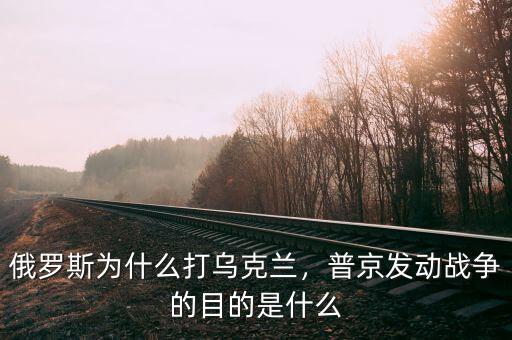 俄羅斯為什么打?yàn)蹩颂m，普京發(fā)動(dòng)戰(zhàn)爭(zhēng)的目的是什么