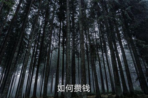 怎么攢錢(qián)買(mǎi)房子,你們是如何存錢(qián)買(mǎi)房子的