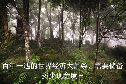 百年一遇的世界經(jīng)濟(jì)大蕭條，需要儲(chǔ)備多少現(xiàn)金度日