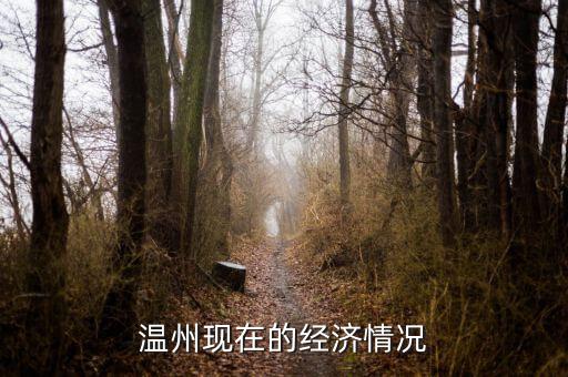 溫州今年經(jīng)濟(jì)怎么樣,溫州這個城市怎么樣