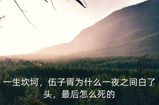 一生坎坷，伍子胥為什么一夜之間白了頭，最后怎么死的