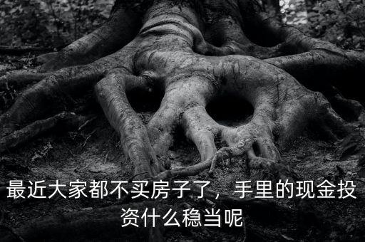 最近大家都不買房子了，手里的現(xiàn)金投資什么穩(wěn)當(dāng)呢