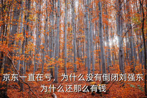 京東一直在虧，為什么沒有倒閉劉強(qiáng)東為什么還那么有錢