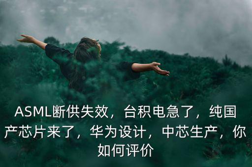 ASML斷供失效，臺積電急了，純國產(chǎn)芯片來了，華為設計，中芯生產(chǎn)，你如何評價