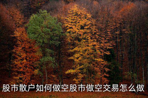 美國(guó)股市怎么做空,股市做空交易怎么做