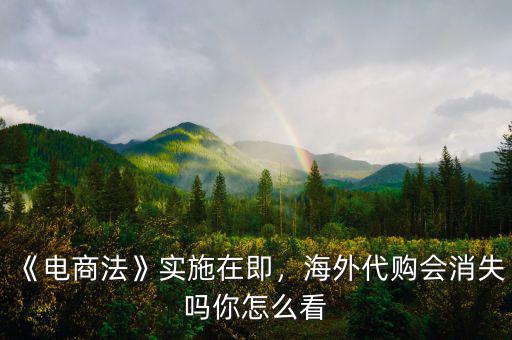 《電商法》實施在即，海外代購會消失嗎你怎么看