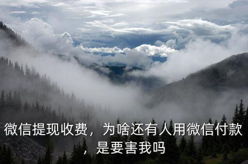 微信提現(xiàn)收費(fèi)，為啥還有人用微信付款，是要害我嗎