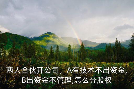 兩人合伙開公司，A有技術(shù)不出資金,B出資金不管理,怎么分股權(quán)