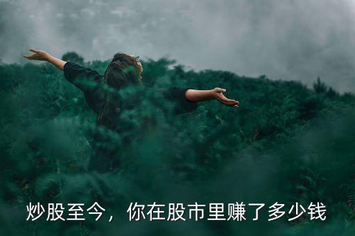 炒股至今，你在股市里賺了多少錢