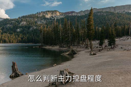 怎么判斷主力控盤(pán)程度