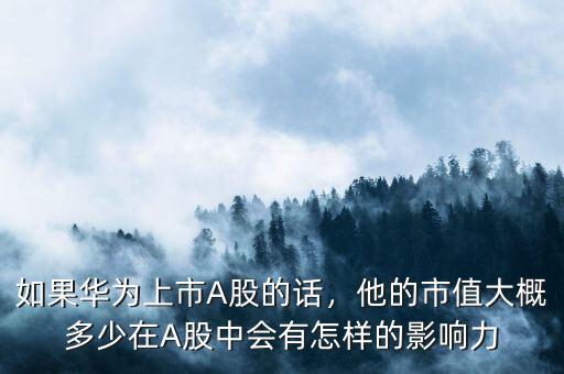 華為上市估值多少,如果華為上市A股的話(huà)