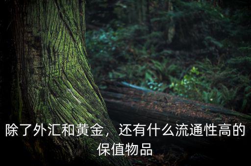 除了外匯和黃金，還有什么流通性高的保值物品