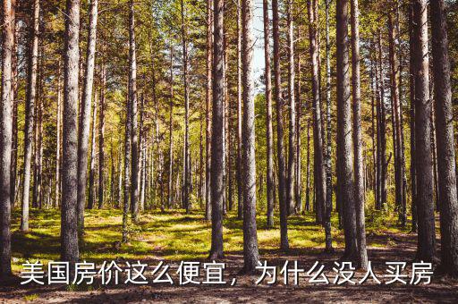 美國(guó)房?jī)r(jià)這么便宜，為什么沒(méi)人買(mǎi)房