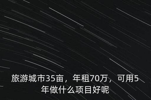 旅游城市35畝，年租70萬，可用5年做什么項目好呢