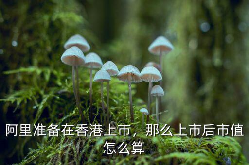 阿里準(zhǔn)備在香港上市，那么上市后市值怎么算