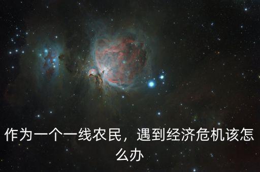 作為一個(gè)一線農(nóng)民，遇到經(jīng)濟(jì)危機(jī)該怎么辦