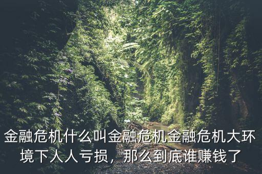 金融危機(jī)什么叫金融危機(jī)金融危機(jī)大環(huán)境下人人虧損，那么到底誰(shuí)賺錢了