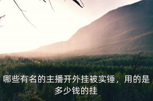 哪些有名的主播開外掛被實錘，用的是多少錢的掛