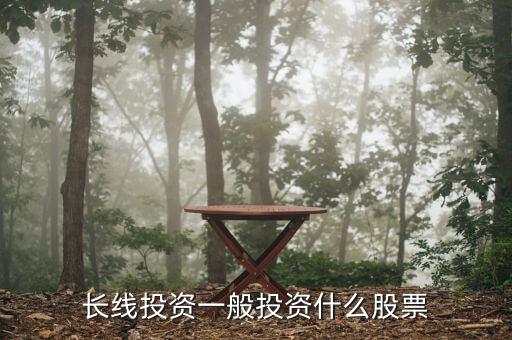 股票投資選什么股票,長(zhǎng)線投資一般投資什么股票