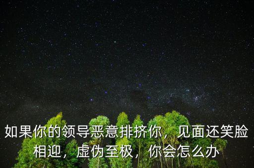 如果你的領(lǐng)導(dǎo)惡意排擠你，見面還笑臉相迎，虛偽至極，你會怎么辦