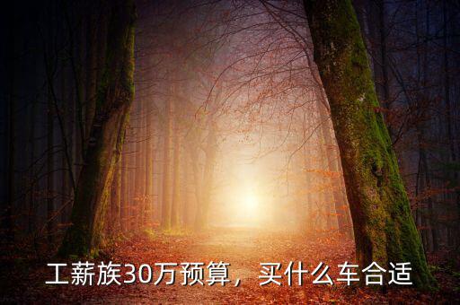 工薪族30萬(wàn)預(yù)算，買什么車合適