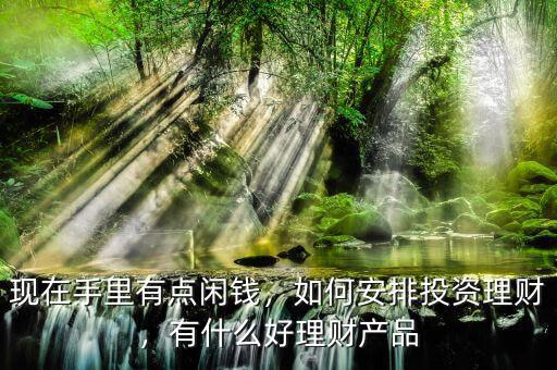 現(xiàn)在手里有點(diǎn)閑錢(qián)，如何安排投資理財(cái)，有什么好理財(cái)產(chǎn)品