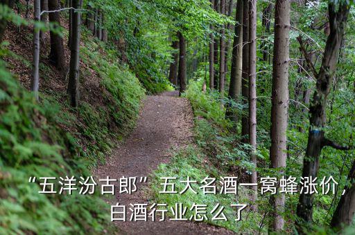 “五洋汾古郎”五大名酒一窩蜂漲價(jià)，白酒行業(yè)怎么了