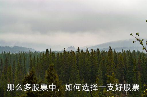 那么多股票中，如何選擇一支好股票